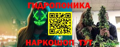молекула духа Усть-Илимск