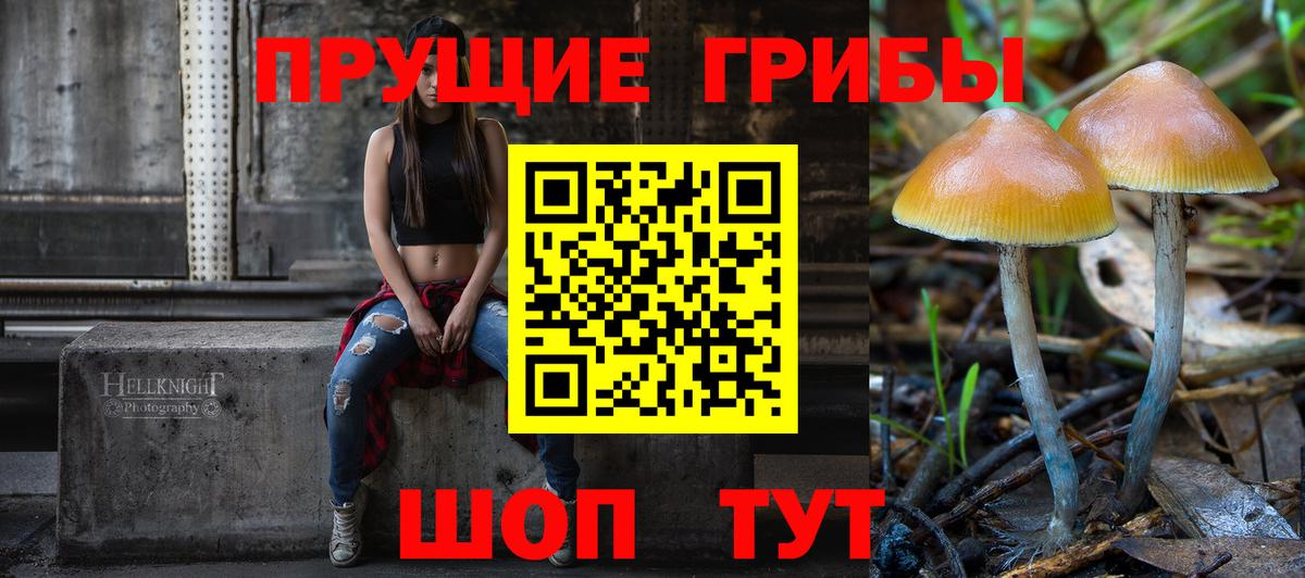 Калач-на-Дону  Галлюциногенные грибы Magic Shrooms  Псилоцибиновые грибы мицелий  Вход с VPN 